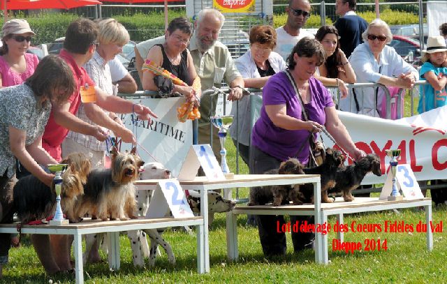 des coeurs fideles du val - LE MEME JOUR A DIEPPE !