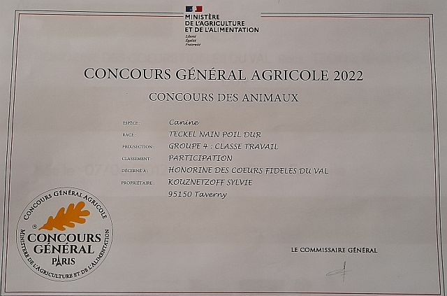 des coeurs fideles du val - HONORINE SELECTIONNEE POUR LE CGA