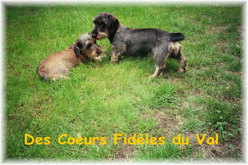 Vicky des coeurs fideles du val