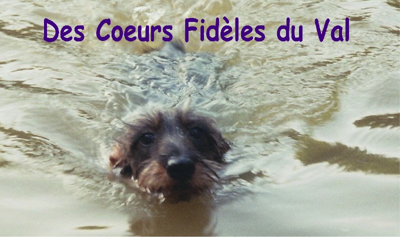 Vicky des coeurs fideles du val