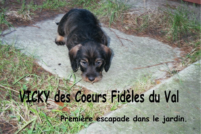 Vicky des coeurs fideles du val