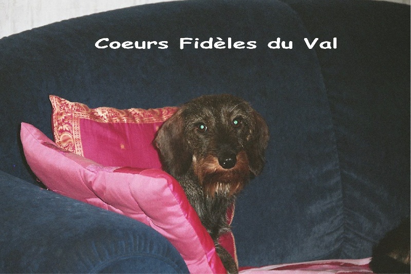 Vicky des coeurs fideles du val