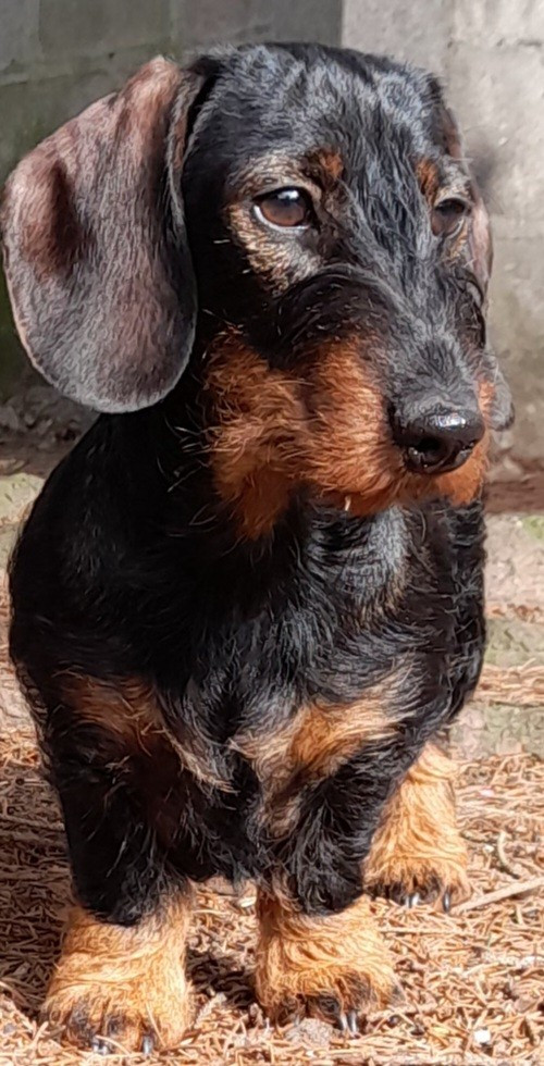 VALBERTHE CHAMPION JEUNE