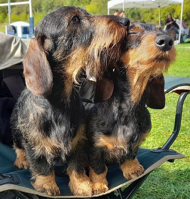 des coeurs fideles du val - UN BEAU DUO !