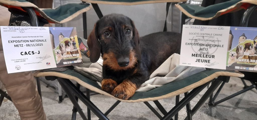 Nouveau succès pour VALBERTHE DES COEURS FIDELES DU VAL !